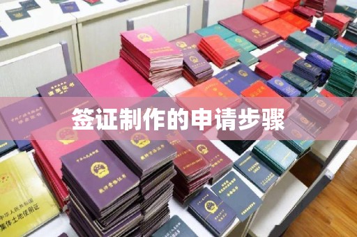 翠屏签证制作的申请步骤