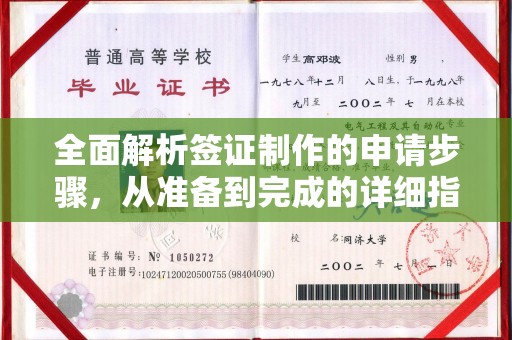 翠屏全面解析签证制作的申请步骤，从准备到完成的详细指南