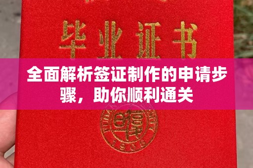 翠屏全面解析签证制作的申请步骤，助你顺利通关